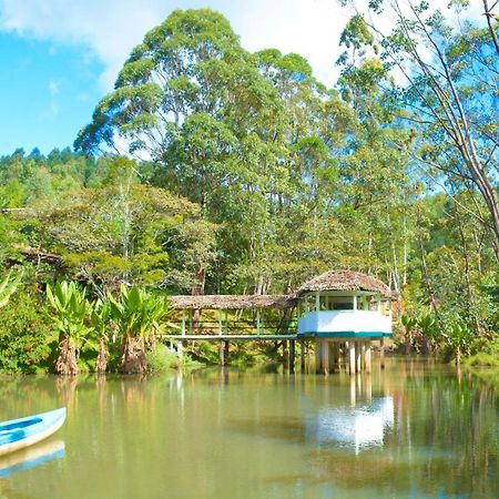 Andasibe Cyperus Hotel Moramanga Esterno foto