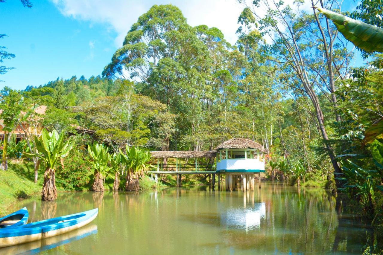 Andasibe Cyperus Hotel Moramanga Esterno foto